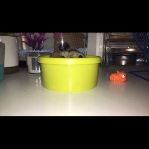 Meet your Posher, Kylee